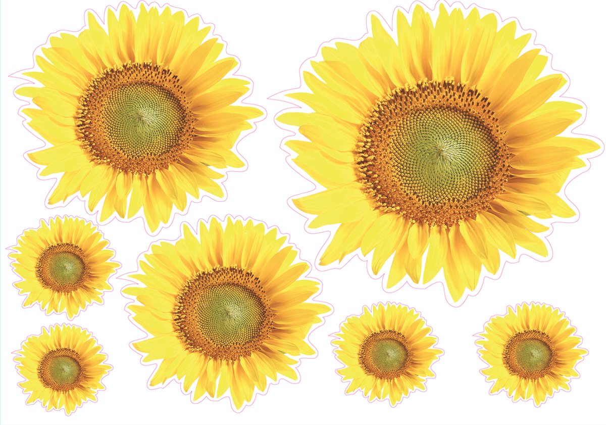 Zonnebloem Decoratie Stickers Kliko of Laptop | 10