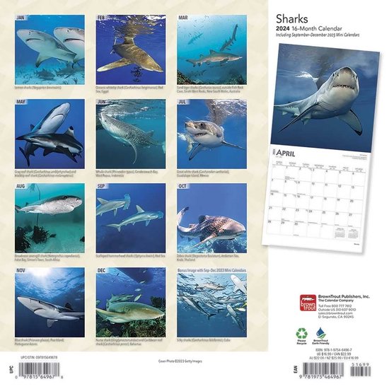 Haaien Sharks Kalender 2024 bol
