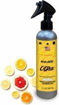 Paradise Air - Citrus Odor Eliminator