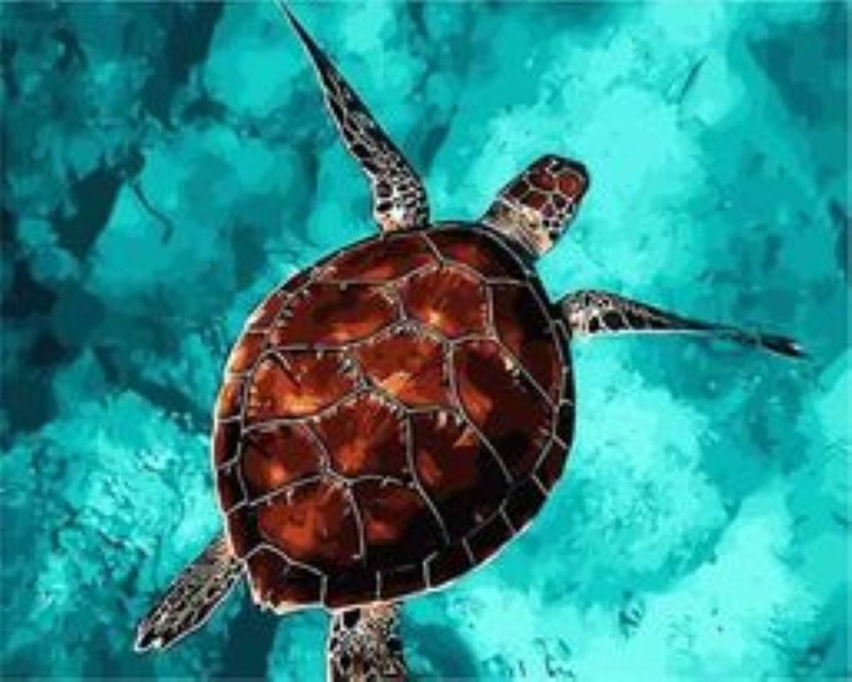 Dolfijnen in de rode zee Diamond Painting kit | Topkwaliteit & Snelle Levering | Bestel Vandaag – Diamond painting for you