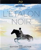 The Black Stallion [Blu-Ray]+[DVD]