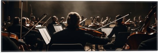 Vlag - Mensen - Muziek - Instrumenten - Orkest - 60x20 cm Foto op Polyester Vlag