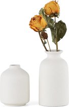 Witte keramische vazen, set van 2 kleine bloemenvazen voor decoratie, moderne rustieke boerderij, huisdecoratie, decoratieve vazen voor pampasgras, gras en gedroogde bloemen, ideeënrek, tafel, boekenkast