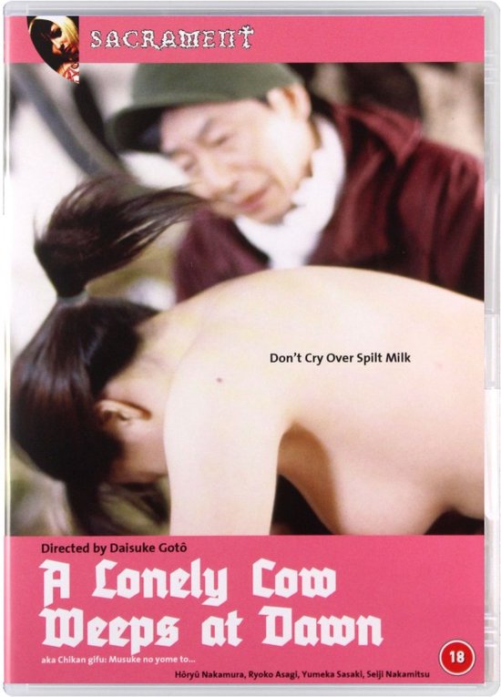 Chikan gifu: Musuko no yome to... [DVD]