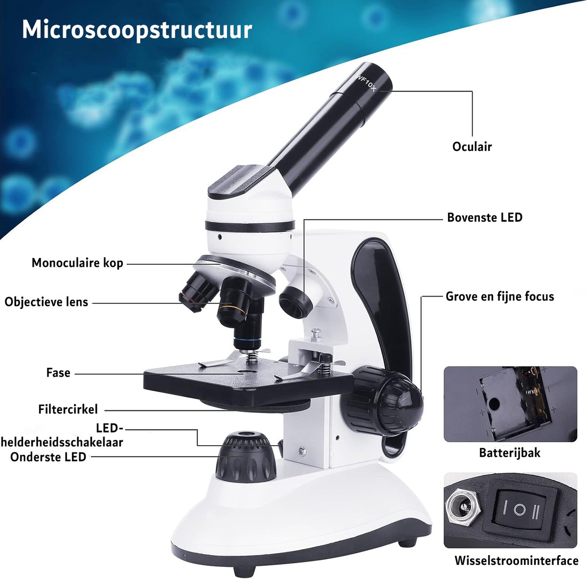 Microscoop Voor Kinderen en Volwassenen - Microscoop Camera - X2000 - LED Verlichting - Accessoires - Wit