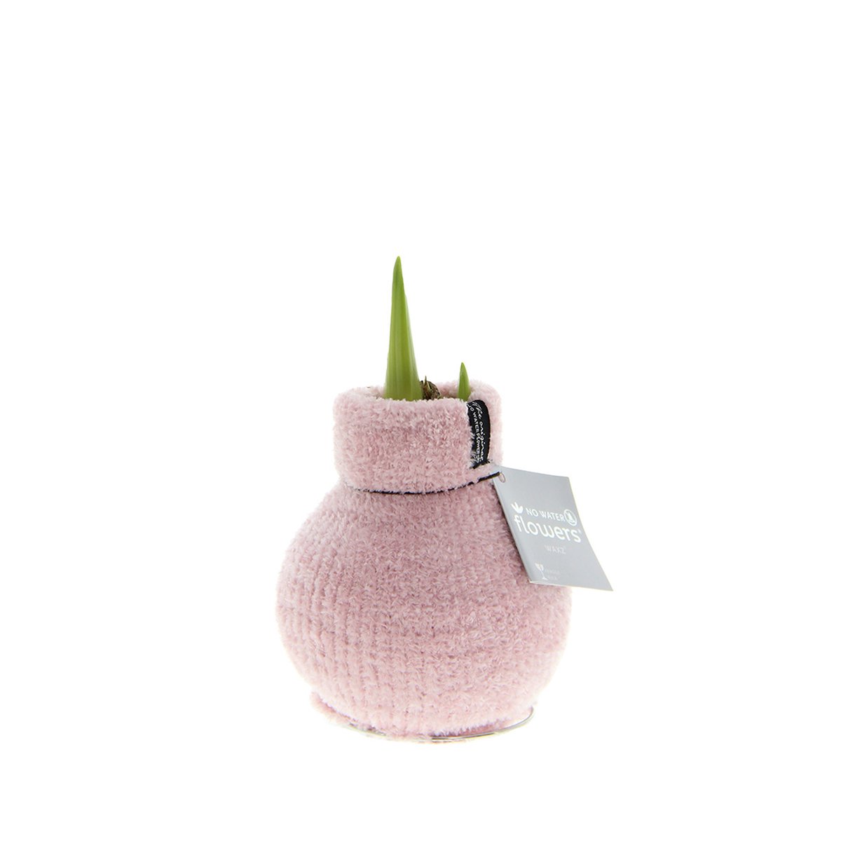 No Water Flowers® Fashionz Cozy Fluffy Pink