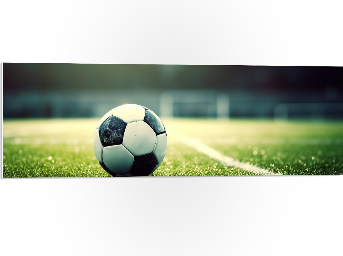 PVC Schuimplaat- Veld - Bal - Voetbal - Lijn - 90x30 cm Foto op PVC Schuimplaat