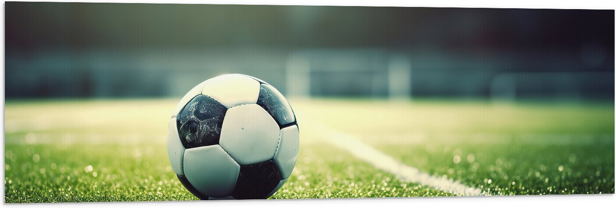 Vlag - Veld - Bal - Voetbal - Lijn - 120x40 cm Foto op Polyester Vlag