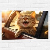 Muursticker - Dier - Kat - Auto - Lachen - Tanden - 75x50 cm Foto op Muursticker