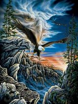 Denza - Diamond painting adelaar roofvogel in de bergen 40 x 50 cm volledige bedrukking ronde steentjes direct leverbaar arend - buizerd