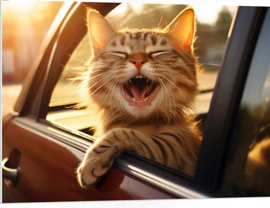 PVC Schuimplaat- Dier - Kat - Auto - Lachen - Tanden - 100x75 cm Foto op PVC Schuimplaat