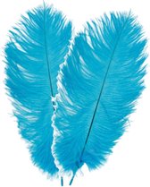 Chaks Struisvogelveren/sierveren - 2x - turquoise - 30-35 cm - decoratie/hobbymateriaal