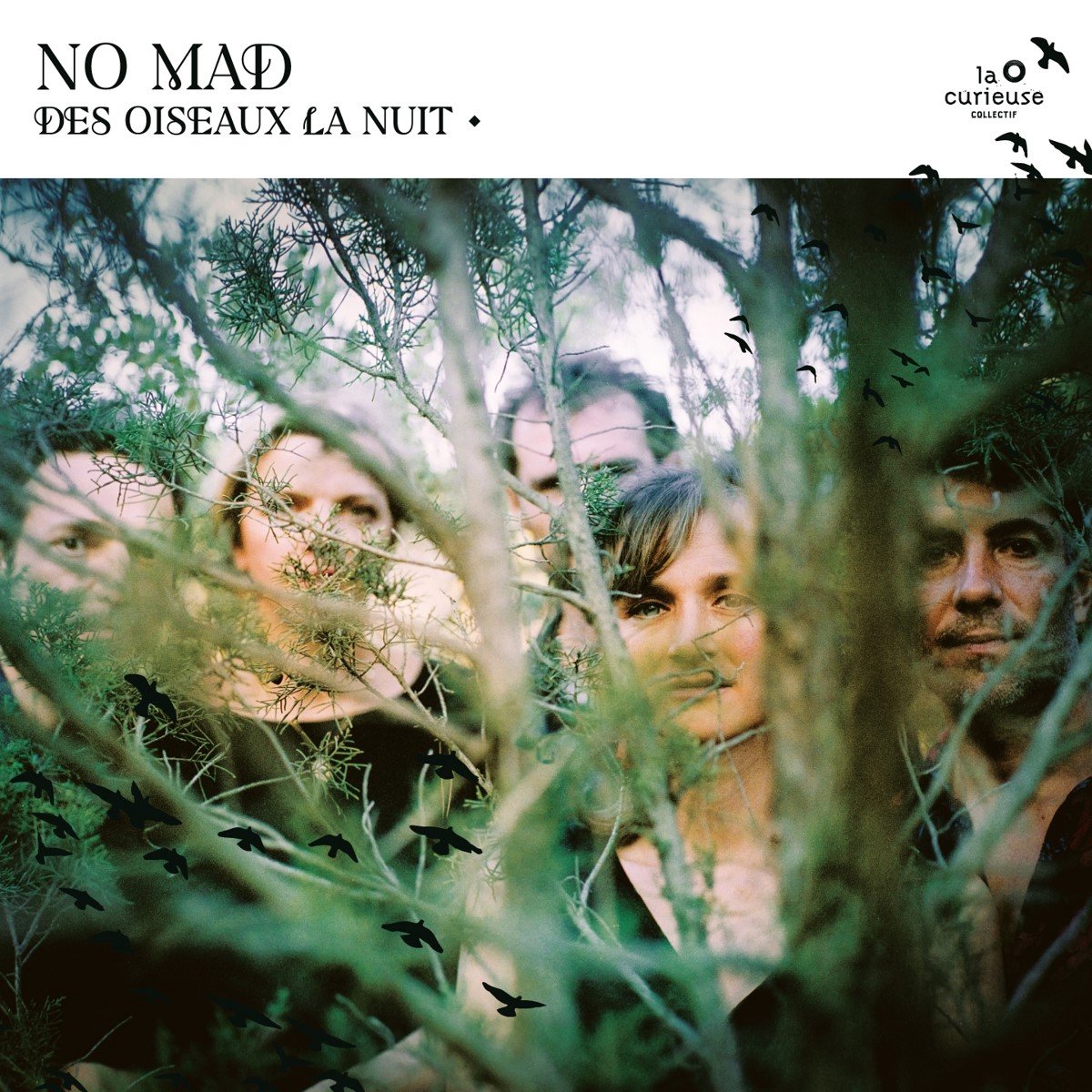 No Mad? - Des Oiseaux La Nuit (CD)