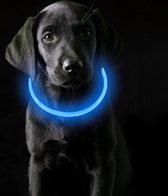 Collier lumineux LED, collier pour chien, rechargeable, collier étanche pour chiens, 3 modes, longueur réglable, super lumineux, pour chats et chiens, petit, grand, moyen, bleu