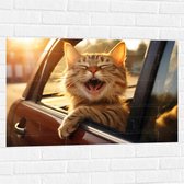 Muursticker - Dier - Kat - Auto - Lachen - Tanden - 90x60 cm Foto op Muursticker