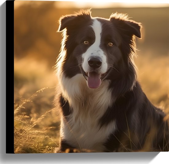 Canvas - Dier - Hond - Zwart - Wit - Gras - 40x40 cm Foto op Canvas Schilderij (Wanddecoratie op Canvas)