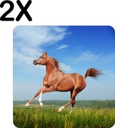 BWK Flexibele Placemat - Paard Gallopperend door het Groene Gras - Set van 2 Placemats - 50x50 cm - PVC Doek - Afneembaar