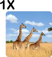 BWK Flexibele Placemat - Drie Giraffen in het Hoge Bruine Gras - Set van 1 Placemats - 50x50 cm - PVC Doek - Afneembaar