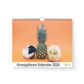 Huurdies - Knaagdieren Kalender - Jaarkalender 2024 - 35x24 - 300gms