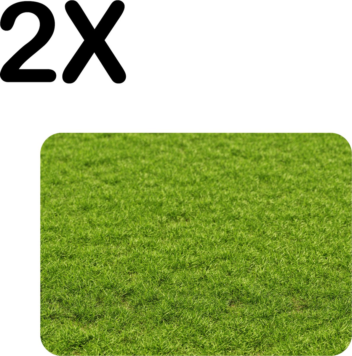 BWK Flexibele Placemat - Groen Gras - Set van 2 Placemats - 40x30 cm - PVC Doek - Afneembaar