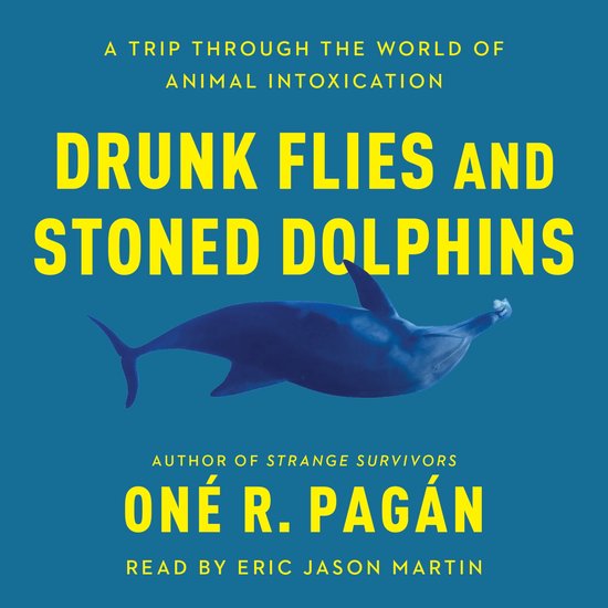 Drunk Flies and Stoned Dolphins - cover