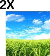 BWK Textiele Placemat - Groen Gras met Blauwe Lucht en Witte Wolken - Set van 2 Placemats - 50x50 cm - Polyester Stof - Afneembaar