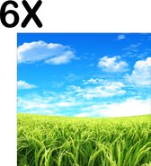 BWK Textiele Placemat - Groen Gras met Blauwe Lucht en Witte Wolken - Set van 6 Placemats - 40x40 cm - Polyester Stof - Afneembaar