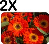BWK Stevige Placemat - Rode Kleurrijke Bloemen in de Natuur - Set van 2 Placemats - 45x30 cm - 1 mm dik Polystyreen - Afneembaar