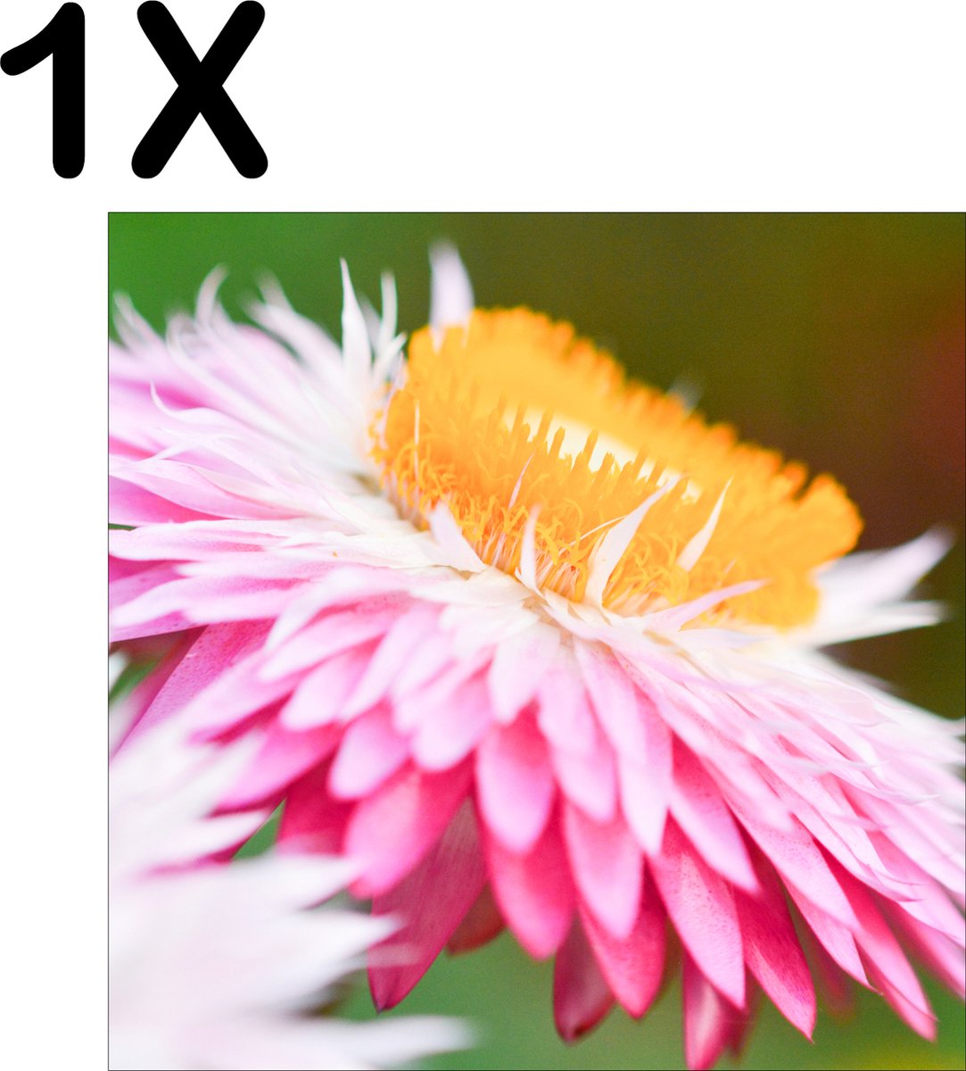 BWK Textiele Placemat - Roze met Gele Bloem in de Natuur - Set van 1 Placemats - 50x50 cm - Polyester Stof - Afneembaar