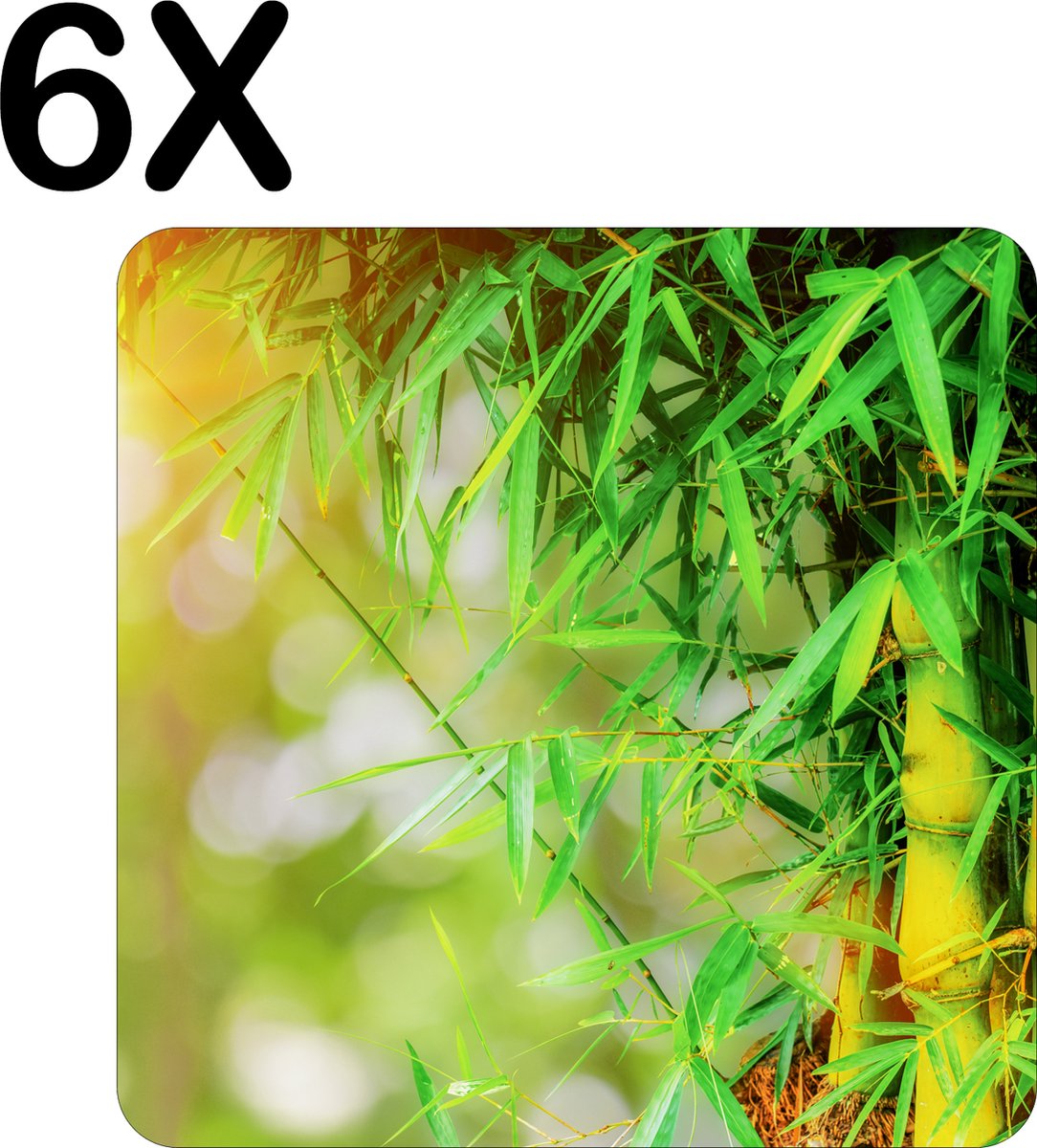 BWK Flexibele Placemat - Groene Bamboo - Set van 6 Placemats - 50x50 cm - PVC Doek - Afneembaar