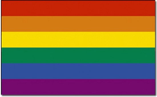 Lhbt Gay Regenboog Vlag X Cm Inclusief Twee Gratis Regenboog