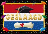 Deurposter geslaagd Nederlandse vlag 59 x 42 cm - Examen diploma uitreiking feestartikelen