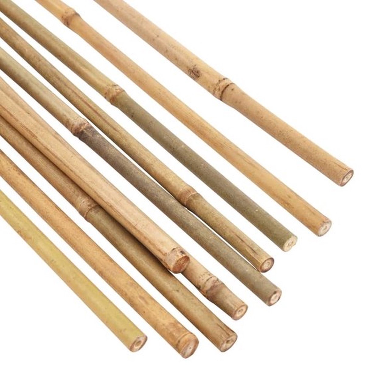 Ferrarium 25 stuks 76cm bamboestokken 6-8 mm - bamboe stokken - bamboostokken - tonkinstokken - grote bamboestokken - bamboestok groot - bamboestokken groot - tonkinstokken - moestuinstokken - opbindstokken - boontjes opbinden