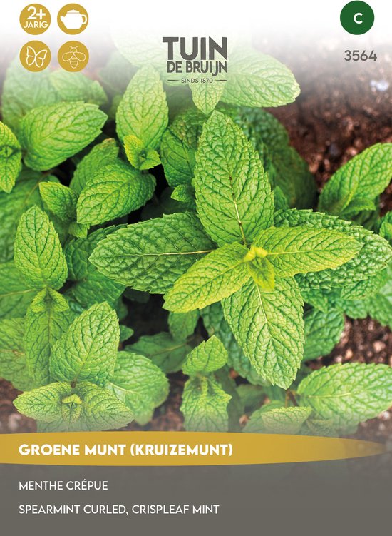 Tuin de Bruijn® zaden - Groene Munt, Kruizemunt - eenvoudige teelt - grote opbrengst - Zeer geschikt voor verse muntthee