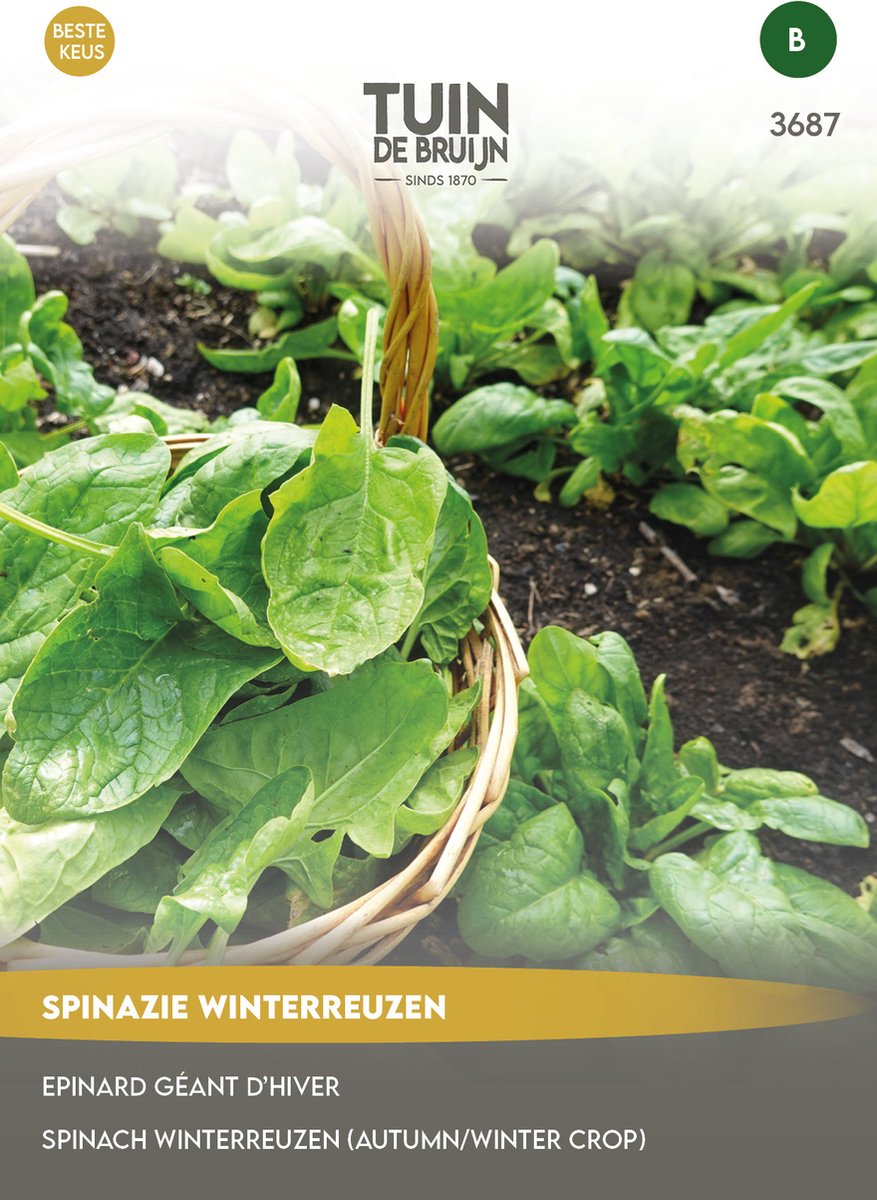 Tuin de Bruijn® zaden - Spinazie Winterreuzen - ca. 15 gram zaden - Winter spinazie - september en oktober zaaien