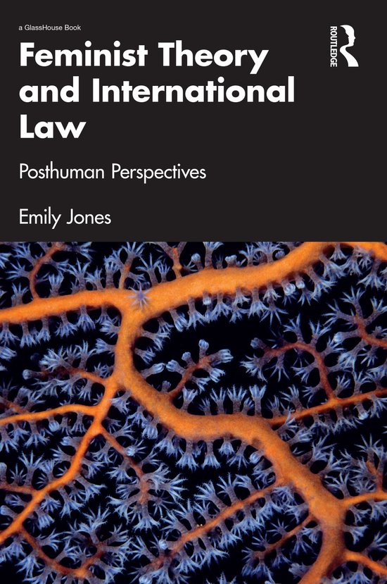 Feminist Theory and International Law - cover