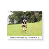 Kalender 2024 - Entlebucher Mountain Dog - 35x24cm - 300gms - Spiraalgebonden - Inclusief ophanghaak