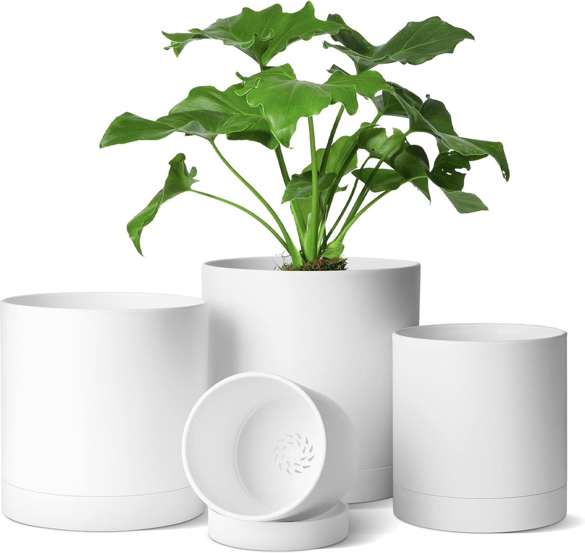 Lot de 6 Pot de Fleur Interieur Pots de Plantes en Plastique avec Trous de  Drainage et Plateaux pour Maison Bureau Jardin - 16cm