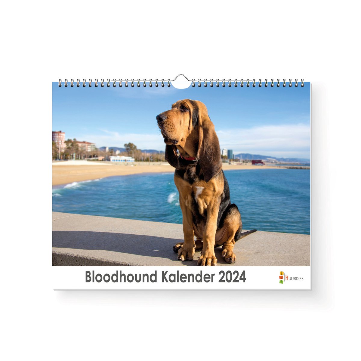 Kalender 2024 - Bloodhound - 35x24cm - 300gms - Spiraalgebonden - Inclusief ophanghaak