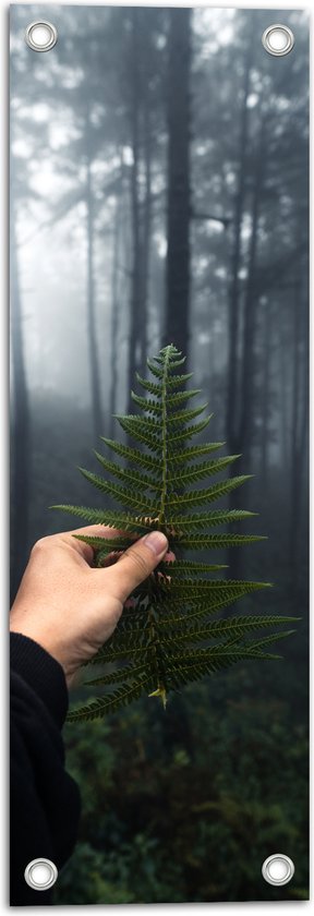 Tuinposter – Varen Plant tussen Hoge Smalle Bomen - 20x60 cm Foto op Tuinposter (wanddecoratie voor buiten en binnen)