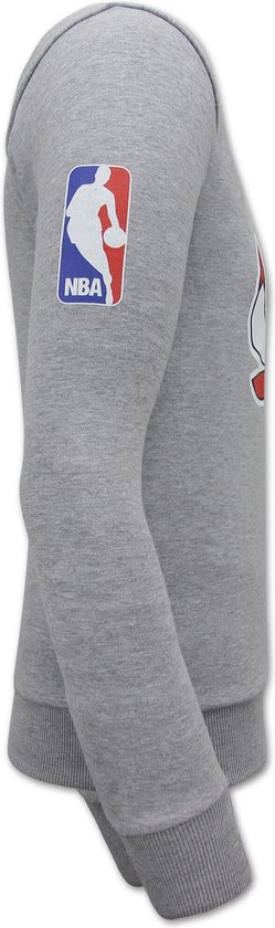 Pull pour Homme Chicago Bulls - Grijs