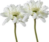 Viv! Home Luxuries Gerbera - 2 pièces - fleur en soie - blanc crème - qualité supérieure