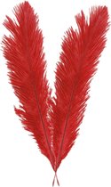 Chaks Pieten struisvogelveer/sierveer - 2x - rood - 55-60 cm - decoratie/hobbymateriaal
