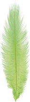 Chaks Pieten struisvogelveer/sierveer - lime groen - 55-60 cm - decoratie/hobbymateriaal