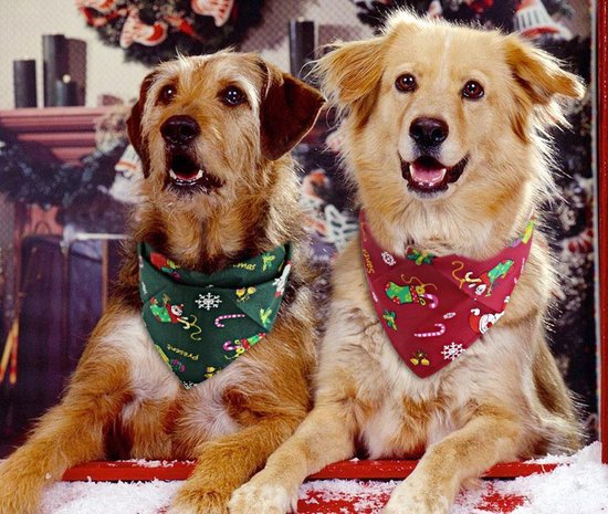 2 honden sjawls Kerstmis - 2 sjaaltjes hals hond 'merry christmas' - honden  halsdoek 2... | bol.com