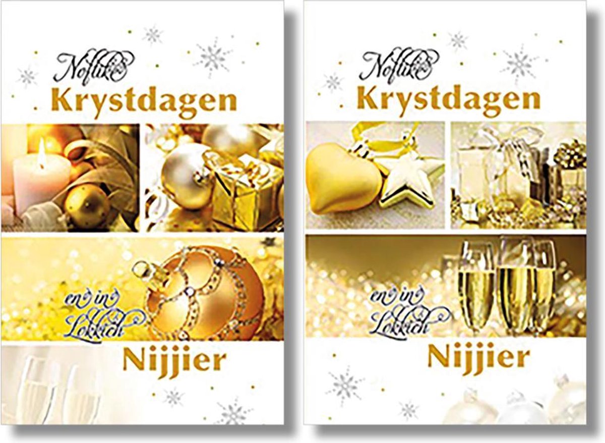 MGPcards - 2 doosjes à 10 Luxe dubbele wenskaarten - Friese tekst - Kerst/Nieuwjaar - Foliebewerking - Witte envelop - 10.5 x 16 cm - 2 Motieven per doosje
