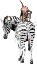 Strijkapplicatie Zebra