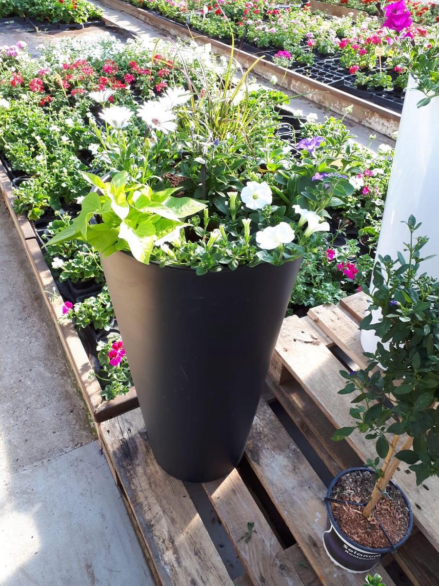 Prosperplast Cache-pot/pot De Fleurs Sand Dunes - 2x - Extérieur