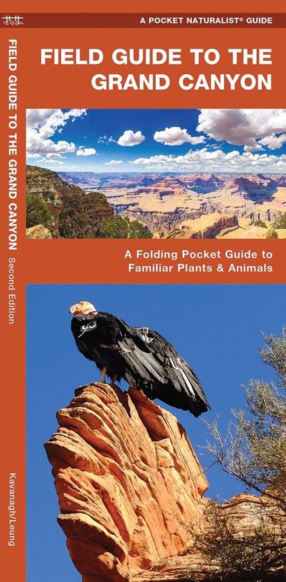 Field Guide to the Grand Canyon: A Folding Pocket Guide to F ... - cover