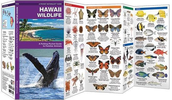 Thumbnail van een extra afbeelding van het spel Hawaii Wildlife